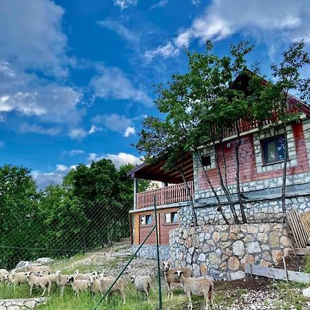 Mountain Village House Cetinje Eksteriør bilde