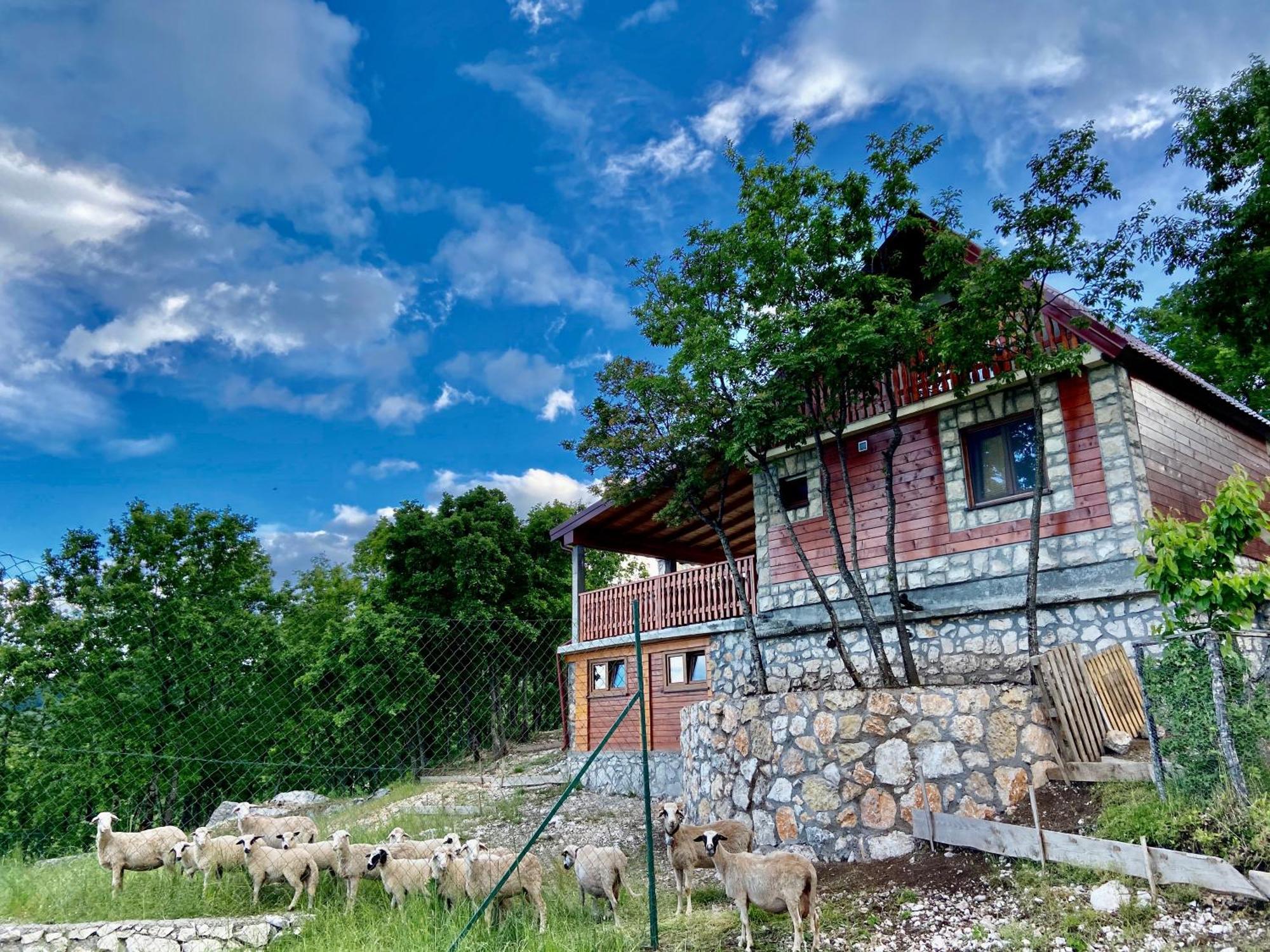 Mountain Village House Cetinje Eksteriør bilde