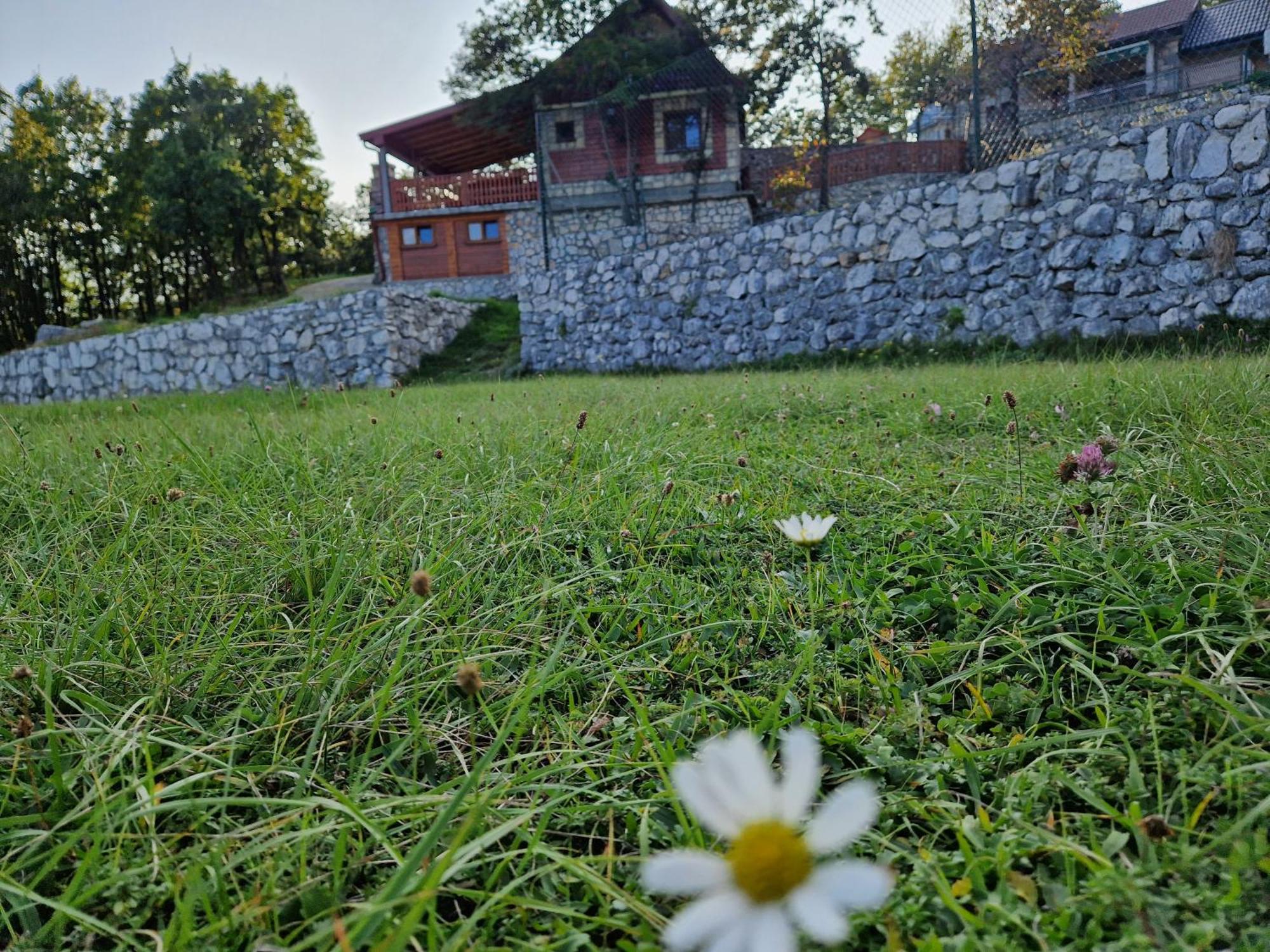 Mountain Village House Cetinje Eksteriør bilde
